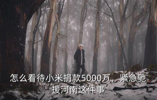 林彥俊捐款馳援河南多少錢,馳援河南小米捐款被罵上熱搜
