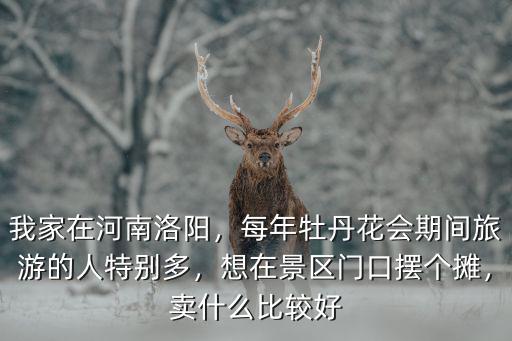 我家在河南洛陽，每年牡丹花會期間旅游的人特別多，想在景區門口擺個攤，賣什么比較好