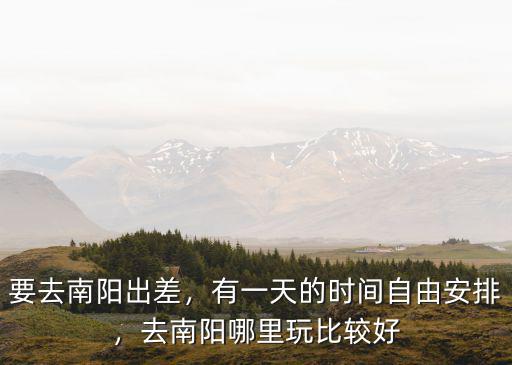 要去南陽出差，有一天的時間自由安排，去南陽哪里玩比較好