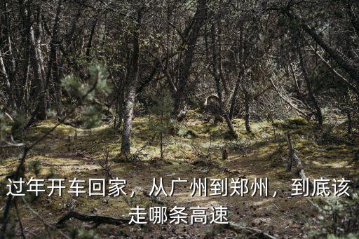 過年開車回家，從廣州到鄭州，到底該走哪條高速