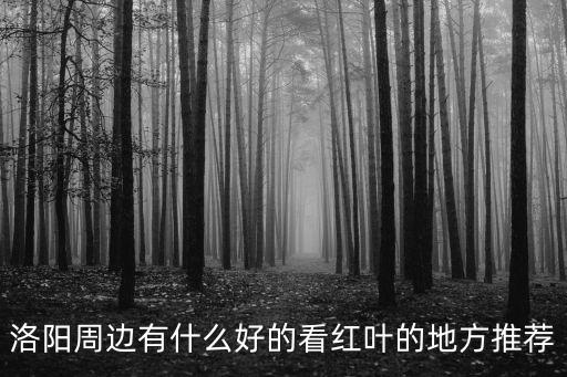 洛陽周邊有什么好的看紅葉的地方推薦