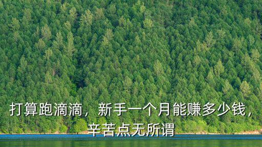 打算跑滴滴，新手一個月能賺多少錢，辛苦點無所謂