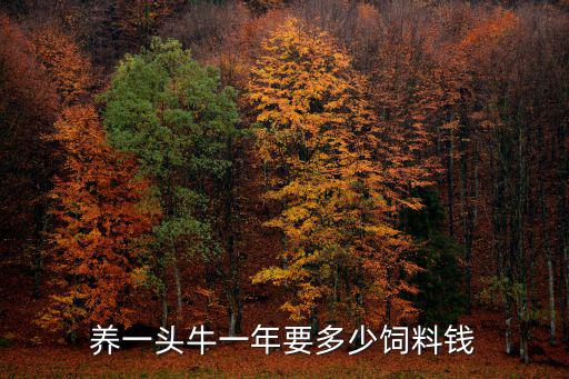 養(yǎng)一頭牛一年要多少飼料錢