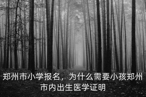 鄭州市小學報名，為什么需要小孩鄭州市內出生醫學證明