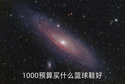 1000預(yù)算買什么籃球鞋好