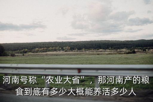 河南號稱“農業大省”，那河南產的糧食到底有多少大概能養活多少人