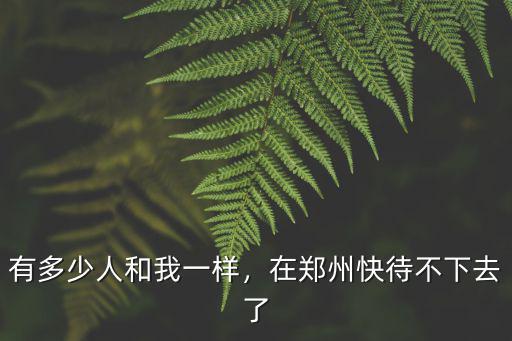 有多少人和我一樣，在鄭州快待不下去了