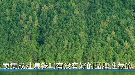 賣集成灶賺錢嗎有沒有好的品牌推薦的