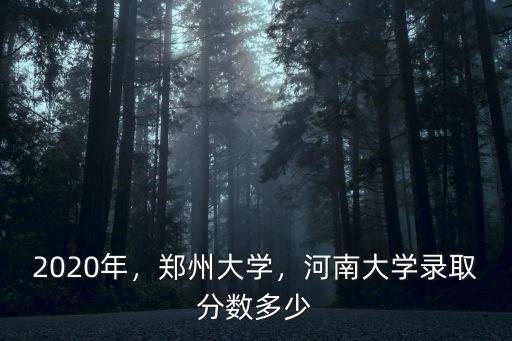 河南大學本科多少分,河南大學錄取分數多少