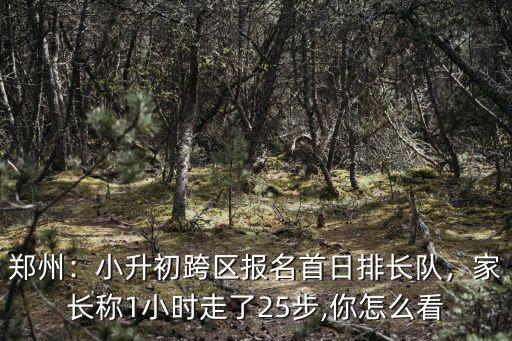鄭州：小升初跨區報名首日排長隊，家長稱1小時走了25步,你怎么看