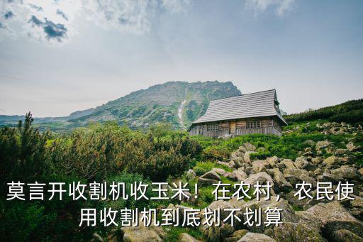 開封玉米收割機哪里有,莫言開收割機收玉米