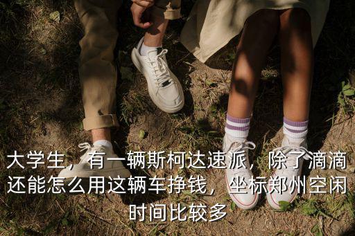 大學(xué)生，有一輛斯柯達(dá)速派，除了滴滴還能怎么用這輛車掙錢，坐標(biāo)鄭州空閑時(shí)間比較多