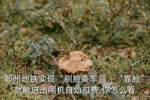 鄭州地鐵實現(xiàn)“刷臉乘車”，“靠臉”就能進出閘機自動扣費,你怎么看