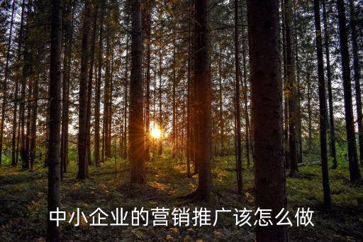 中小企業(yè)的營銷推廣該怎么做