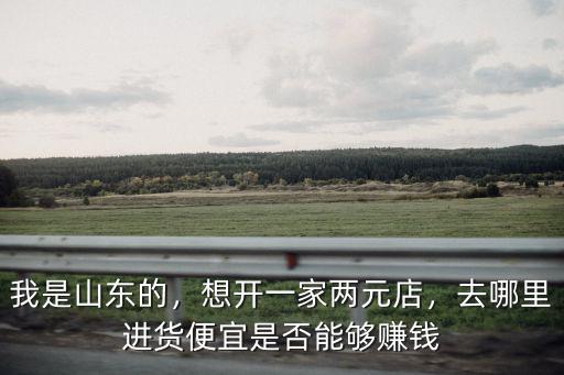 我是山東的，想開(kāi)一家兩元店，去哪里進(jìn)貨便宜是否能夠賺錢