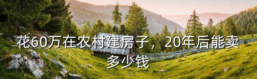 鶴壁20年后的房子多少錢,20年后能賣多少錢