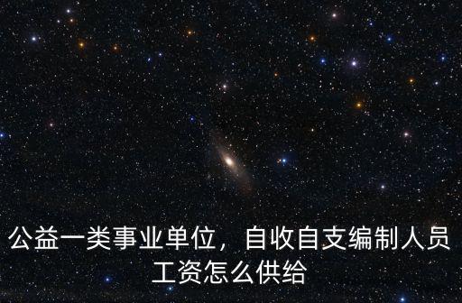 公益一類事業單位，自收自支編制人員工資怎么供給