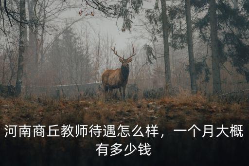 河南商丘教師待遇怎么樣，一個月大概有多少錢