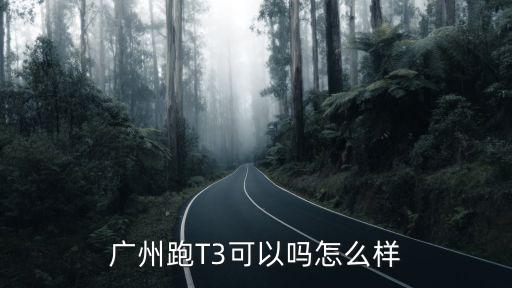 鄭州跑T3的朋友怎么樣,在鄭州跑滴滴怎么樣