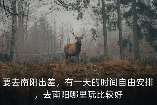 周末南陽市去哪里玩,去南陽哪里玩比較好