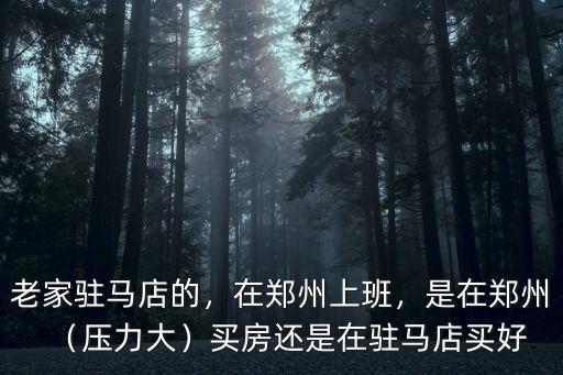 老家駐馬店的，在鄭州上班，是在鄭州（壓力大）買房還是在駐馬店買好