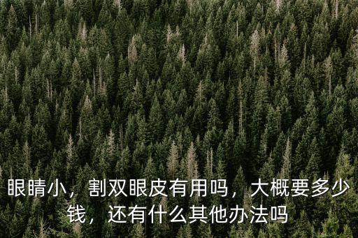 眼睛小，割雙眼皮有用嗎，大概要多少錢，還有什么其他辦法嗎