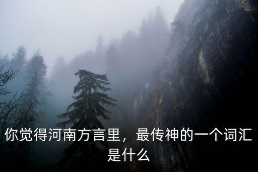 你覺得河南方言里，最傳神的一個詞匯是什么