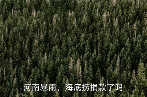 河南暴雨唐藝捐款多少,唐藝為河南捐款五萬你怎么看