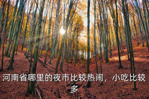 河南省哪里的夜市比較熱鬧，小吃比較多