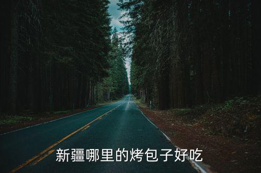 濮陽哪里有賣新疆烤包子的,新疆哪里的烤包子好吃