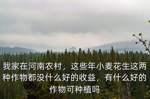 我家在河南農村，這些年小麥花生這兩種作物都沒什么好的收益，有什么好的作物可種植嗎