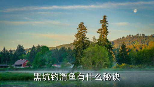周口附近哪里有黑坑釣魚,黑坑釣魚有什么講究嗎