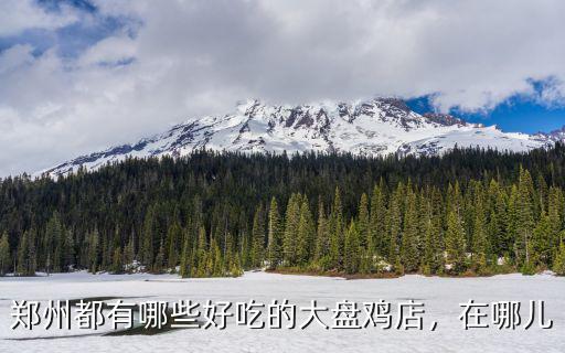 鄭州大盤雞哪里最便宜,鄭州的大盤雞店為什么那么多