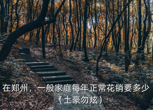鄭州蜜雪冰城一次要開支多少錢,開家蜜雪冰城多少錢