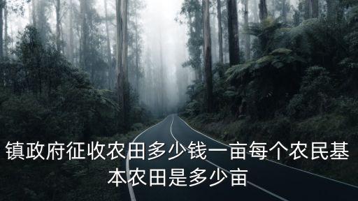 河南農田標準是多少,每個農民基本農田是多少畝