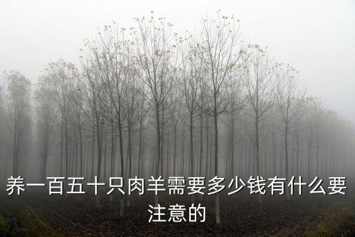 河南山羊仔多少錢一只,羊苗多少錢一只