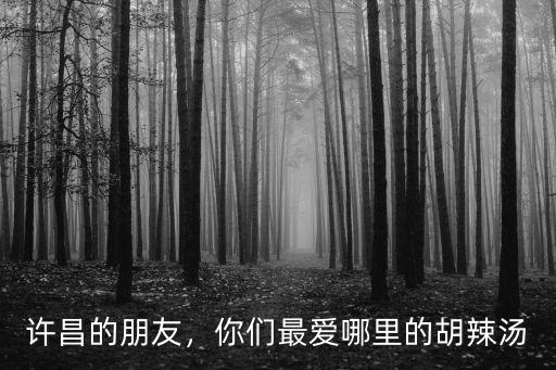 許昌的朋友，你們最愛(ài)哪里的胡辣湯