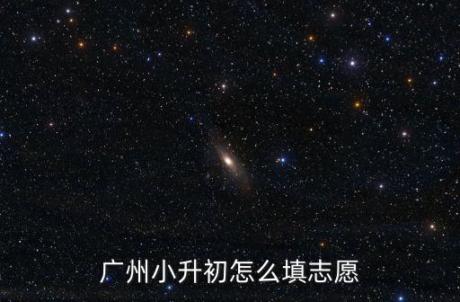 廣州小升初怎么填志愿