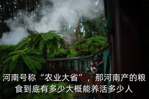 河南號稱“農業大省”，那河南產的糧食到底有多少大概能養活多少人