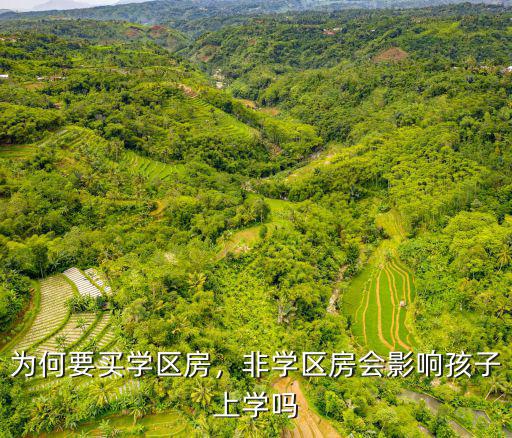 為何要買學區房，非學區房會影響孩子上學嗎