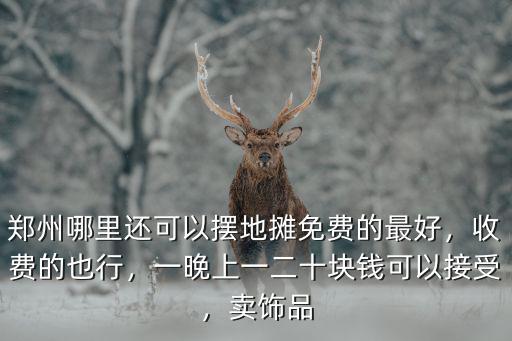鄭州哪里還可以擺地攤免費的最好，收費的也行，一晚上一二十塊錢可以接受，賣飾品