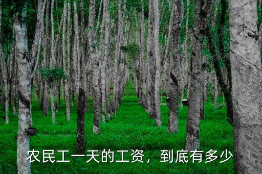 鄭州防水大工小工工資多少,農(nóng)民工一年的工資大概是多少