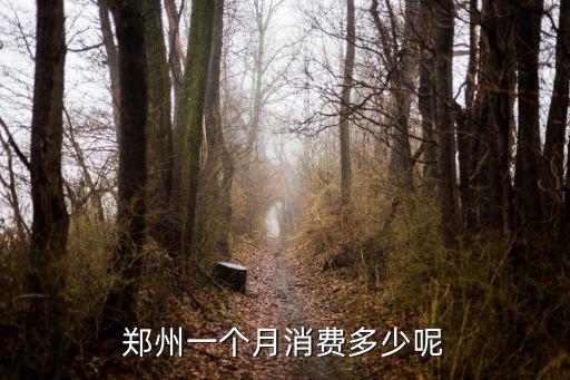 鄭州一個月消費多少呢