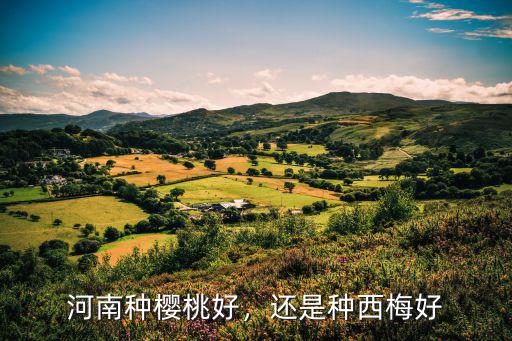 河南種櫻桃好，還是種西梅好