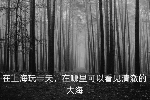 海上海一期在鶴壁哪里啊,在上海玩一天