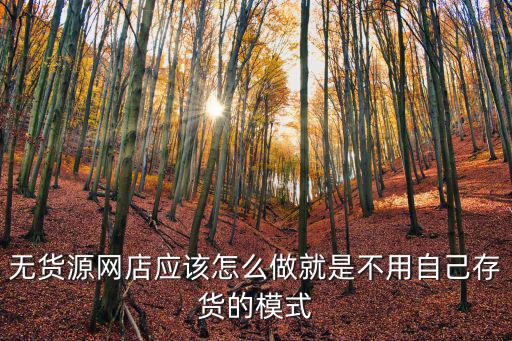 無貨源網(wǎng)店應(yīng)該怎么做就是不用自己存貨的模式