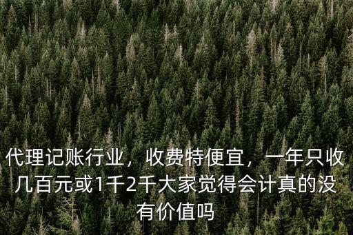 鶴壁記賬代理費(fèi)用多少,代理記賬行業(yè)