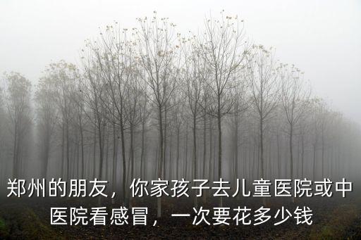 鄭州的朋友，你家孩子去兒童醫院或中醫院看感冒，一次要花多少錢