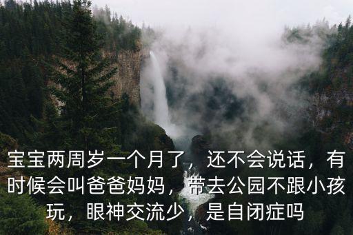寶寶兩周歲一個(gè)月了，還不會(huì)說(shuō)話，有時(shí)候會(huì)叫爸爸媽媽，帶去公園不跟小孩玩，眼神交流少，是自閉癥嗎