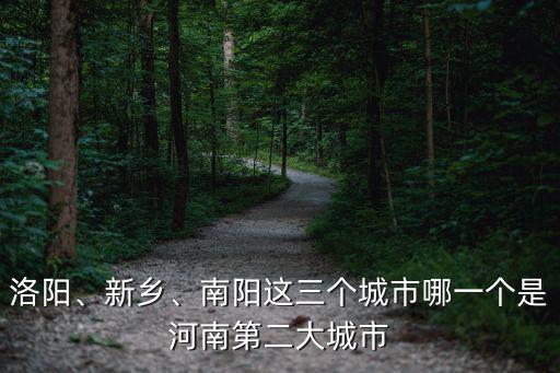 洛陽、新鄉、南陽這三個城市哪一個是河南第二大城市